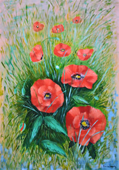 Les Coquelicots